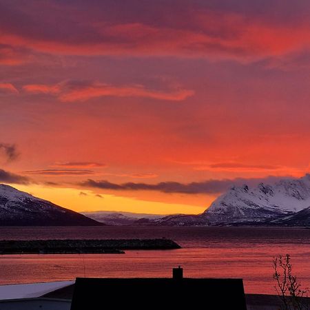 Loftsleilighet Midt I Sentrum Skjervoy Bagian luar foto