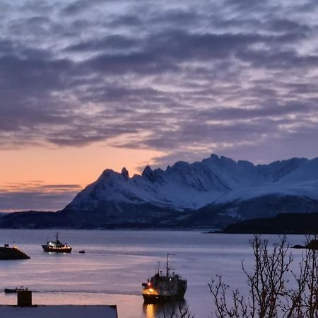 Loftsleilighet Midt I Sentrum Skjervoy Bagian luar foto