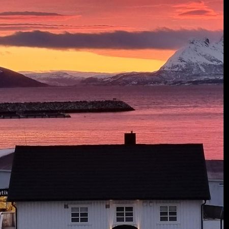 Loftsleilighet Midt I Sentrum Skjervoy Bagian luar foto