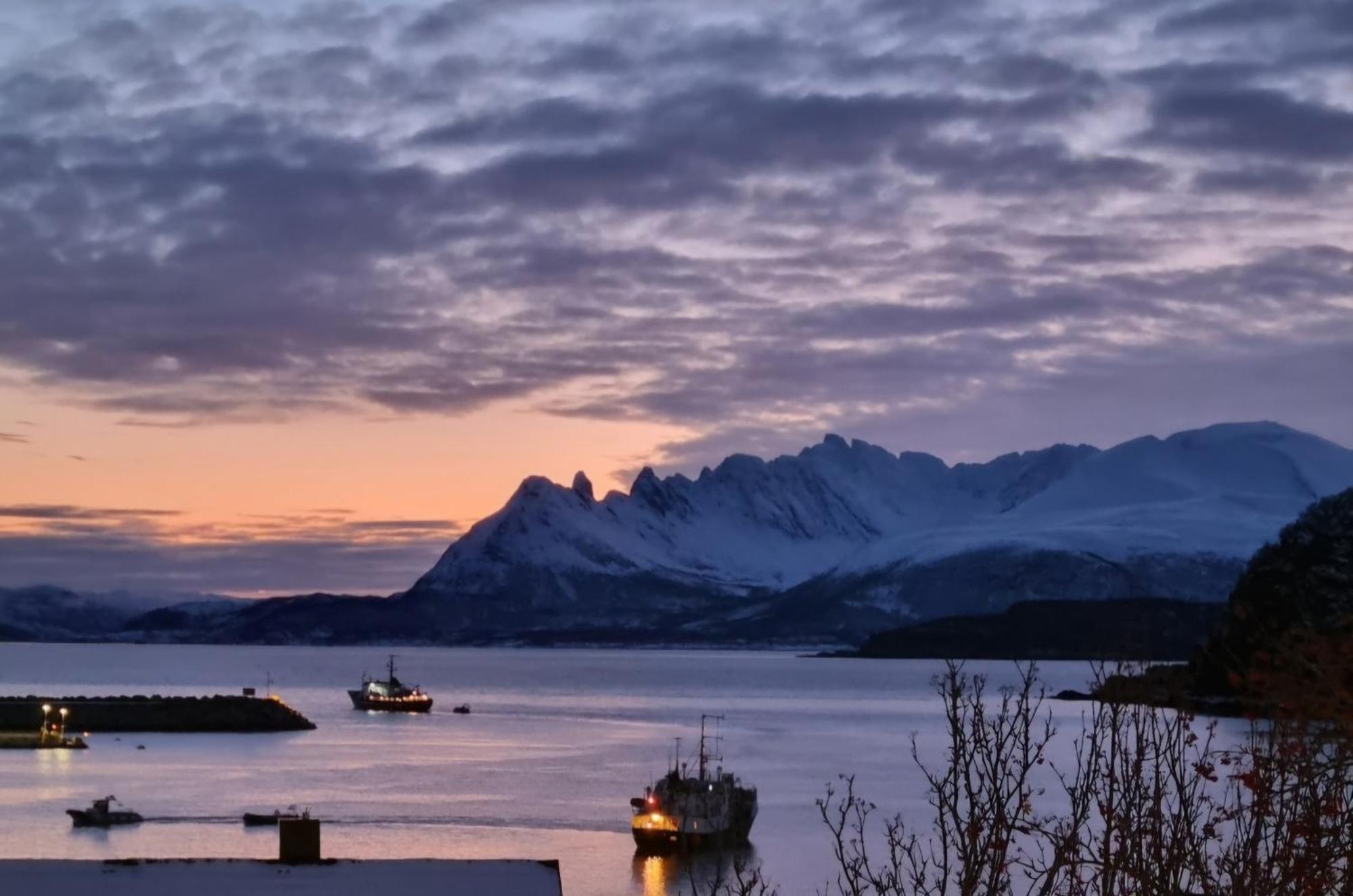 Loftsleilighet Midt I Sentrum Skjervoy Bagian luar foto